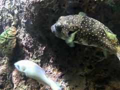 -多彩贵州城极地海洋世界