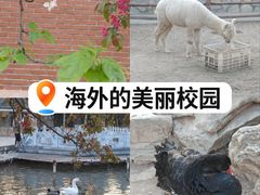 -北京市海淀外国语实验学校