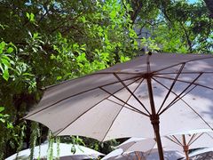 -Fern Forest Cafe