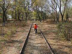 -永定河休闲森林公园