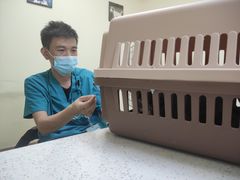 -美联众合动物医院·内科·皮肤科·外科(古城分院)