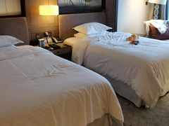 -上海嘉定喜来登酒店