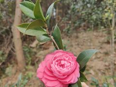 -中国移动南方基地