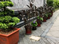 -瓯菜排档·温州海鲜(玕南店)
