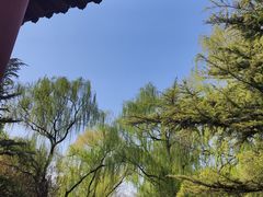 -百脉泉景区
