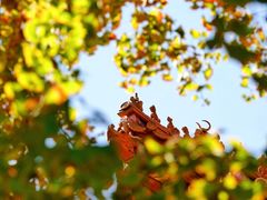 -东华门大街小区