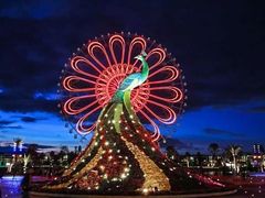 游乐设施-七彩云南欢乐世界