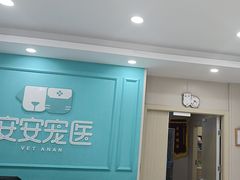 -安安宠医宠物医院·异宠·犬猫内科(岳阳分院)