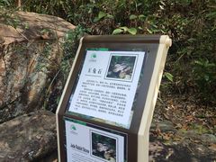 -广州白江湖森林公园