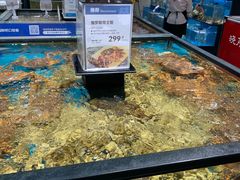 水产区-盒马鲜生(皇庭广场店)