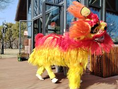 -长兴太湖图影湿地文化园