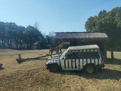 -上海野生动物园