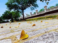 -厦门日月谷温泉渡假村