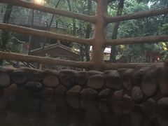 -天门沟九州驿站树上汤泉
