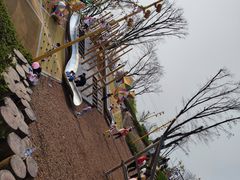 -铁山坪森林公园