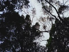 -船政文化景区-罗星塔公园