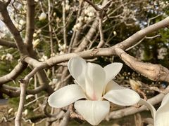 -北京植物园南门售票处