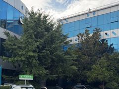 -中华人民共和国水准零点