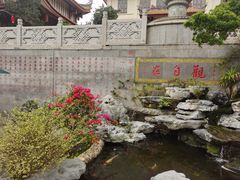 -仙岳公园