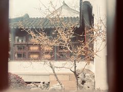 -东山雕花楼