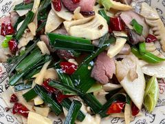 -铁山坪森林公园