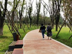 -白鹭湾湿地公园