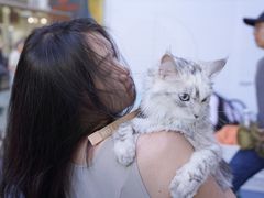 -星光摄影器材城