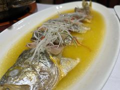 浓汤咸肉黄鱼鲞（半条）-光明邨大酒家(汇阳广场店)