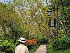 -杭州半山国家森林公园