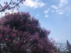-厦门园林博览苑