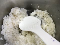 -竹苑农庄