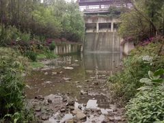 -重庆彩云湖湿地公园