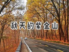 -紫金山天文台