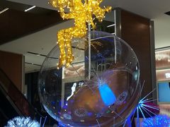 店内环境-远洋未来广场(育慧北路店)