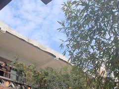 -羊门客在·烤盐池滩羊·川菜