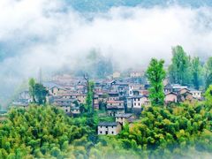 -杨家堂村