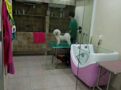 -佳雯宠物医院(四明中路分院)