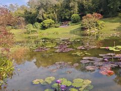 -云溪植物园