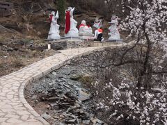 -金龙寺国家森林公园