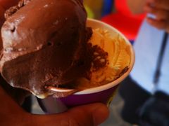 -Dooley's Premium Ice Cream