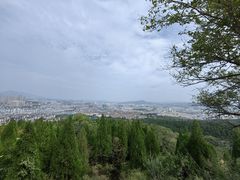 -原山国家森林公园