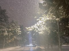 -东北大学(南湖校区)
