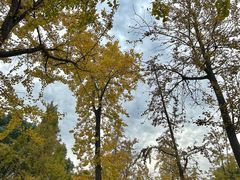 -太湖湖滨国家湿地公园-停车场