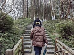 -桤木河湿地公园