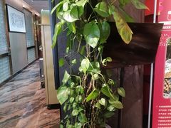-百草滩羊清水涮羊肉·清真·宁夏盐池滩羊(莲花桥店)