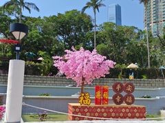 -九龙公园