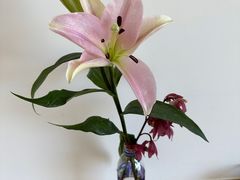 -大理.老字号渝记酸萝卜乌鱼(古城总店)