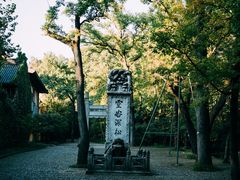 -灵谷景区