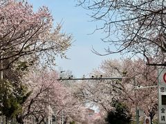-吉林大学(南岭校区)