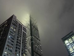 -长沙小天鹅戴斯酒店